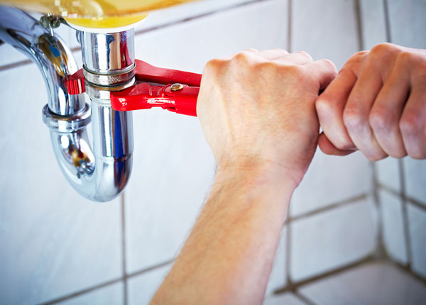 About Cedarpines Park Plumbers